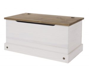 Corona Painted Trunk